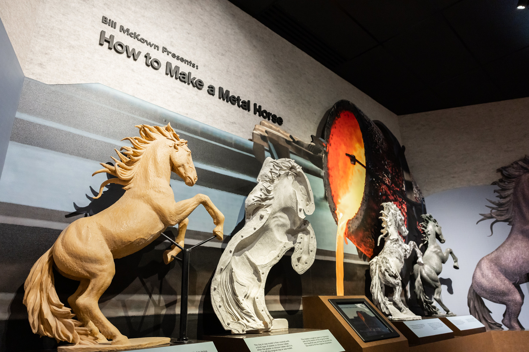 picture of horse exhibit