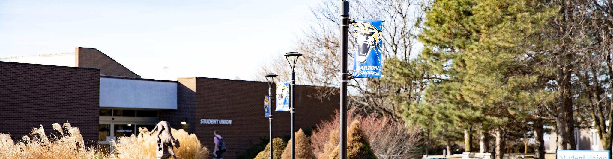Pole Banners on campus 