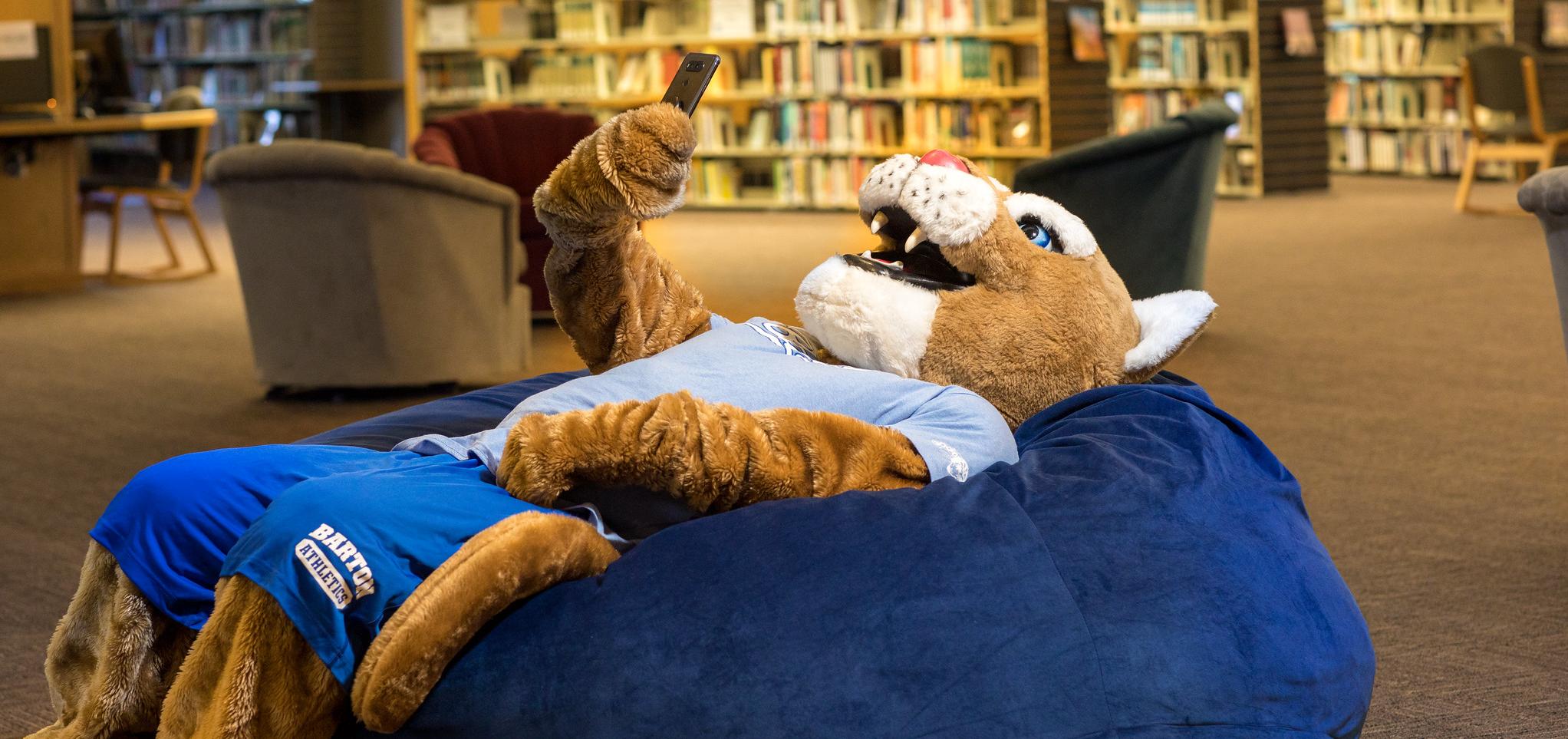 Bart lounging in the Library