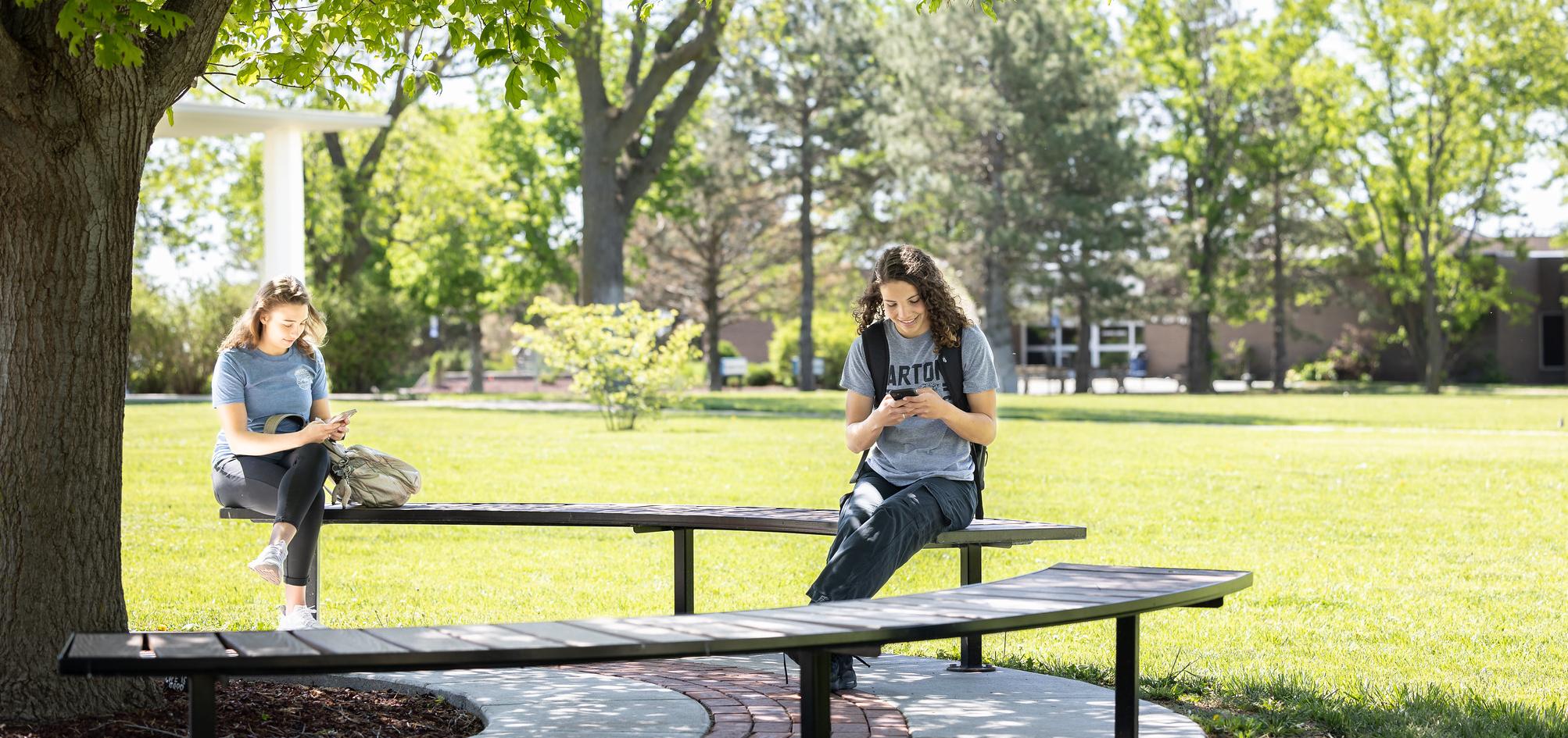 Students sitting on Barton campus looking at phones