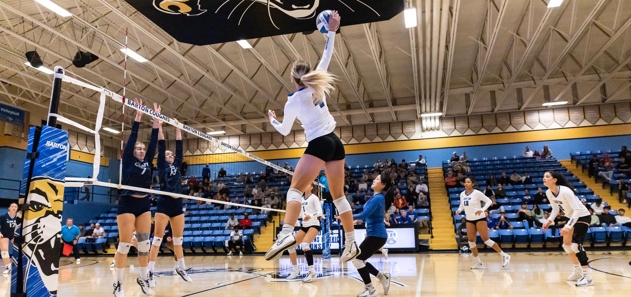 Volleyball player jumps to spike the ball
