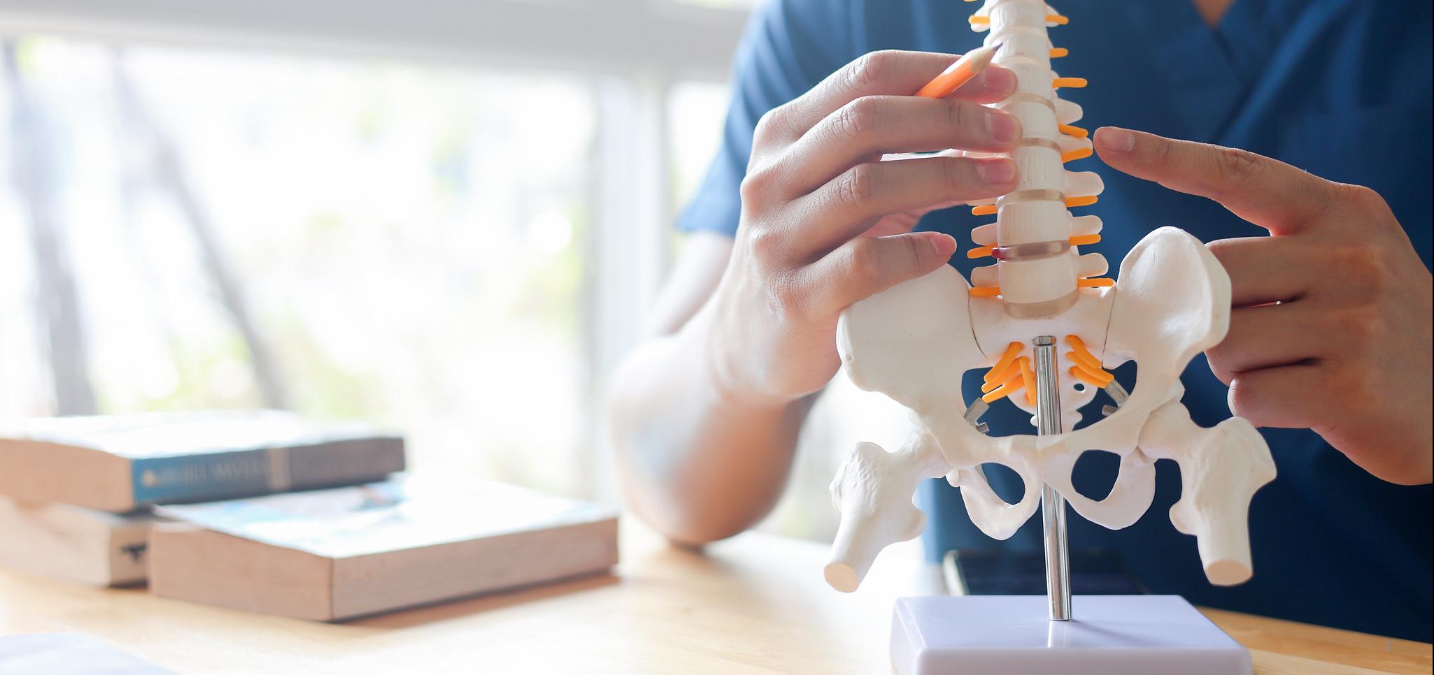 A chiropractor demonstrates motion on a spine